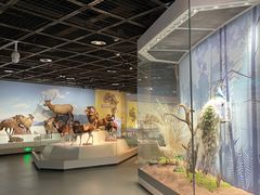 -陕西自然博物馆