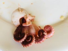 -普兰达德国餐厅·德式脆皮烤猪肘·自酿啤酒(观唐店)