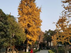 -四川大学(望江校区)