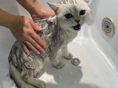-FAELING PETS美天灵宠物(富力广场店)