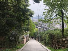 -大罗山风景区