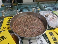 -寻味顺德·南记酒家·传统顺德菜·鱼生(广源路店)
