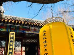 -荣国府