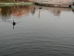 景点-蓬莱欧乐堡梦幻世界