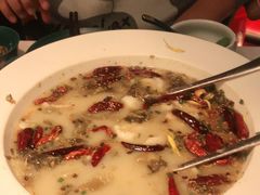 -茅庐毛血旺(烟台大悦城店)
