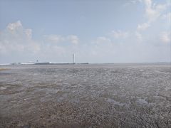 -上海吴淞炮台湾国家湿地公园