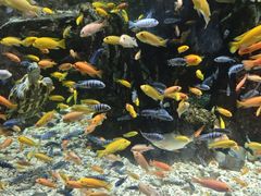 -太平洋海底世界