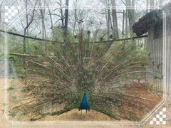 -石家庄市动物园