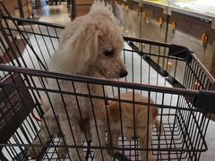 -蟹田居·活蟹料理(东城店)