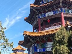 -天下玉苑