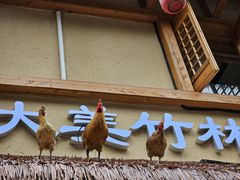 -弓虽昌焖烧鸡(大竹林店)