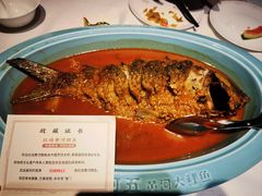 -阿五黄河大鲤鱼(英协路店)