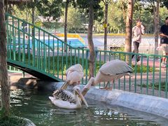 -水上乐园·欢乐世界