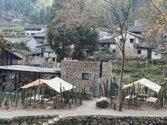 -MOJ coffee(瓯海泽雅水碓坑店)