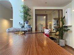 -有猫主题·治愈系猫咖(曾厝垵店)
