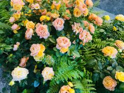 -花隐·美芙炫海菲秀皮肤管理中心