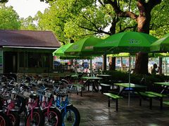 -共青国家森林公园-南大门停车场