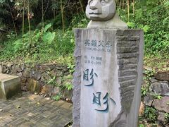 -都江堰中华大熊猫苑