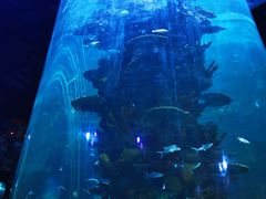 -青岛嘉年华主题乐园