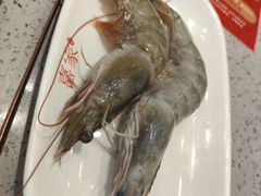青虾-喜家自助小火锅(乐客城店)