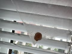 -泰康拜博口腔(世博园乐尔店)