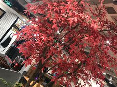 -小王少龙火锅(沙南街店)