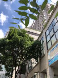 -中国福利会国际和平妇幼保健院(徐汇院区)