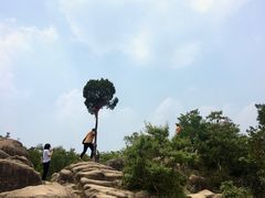 -灵岩山风景区