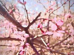 -北运河水利风景区