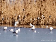 -云龙湖旅游景区
