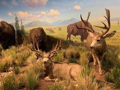 -陕西自然博物馆