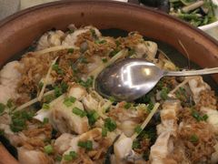 野生钳鱼-围龙屋客家食府(福田店)