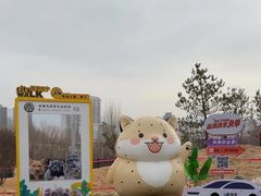 -青藏高原野生动物园
