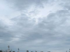 -丁香湖公园