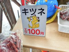 -宫城藏王狐狸村