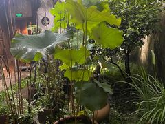 -院子餐厅·大锅菜·老杭帮(桥西直街店)