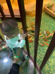 -酷嗒动物文化乐园(cutezoo西溪乐天城店)