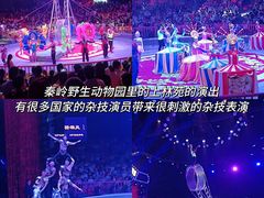 -秦岭欢乐世界