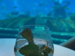 -亚特兰蒂斯•OSSIANO奥西亚诺海底餐厅