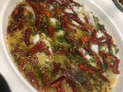 -首秀·四川料理(星耀101店)