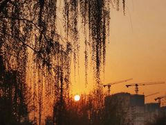 -堤角公园