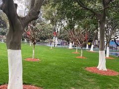 -常州古运河南大街文化旅游区-人民公园