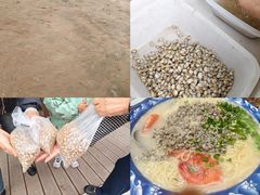 -日照海滨国家森林公园