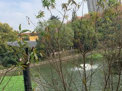 -南京钟山宾馆(江苏省会议中心)