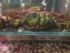 -日进一片海.生腌海鲜火锅.宵夜烧烤(三里屯总店)