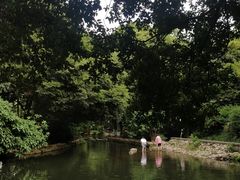 -成都市活水公园