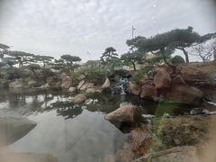 -罗红摄影艺术馆