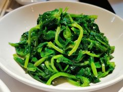 五粮液嫩豆苗-玫瑰厅上海菜(兴国路店)