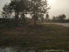 -汉长安城未央宫国家考古遗址公园