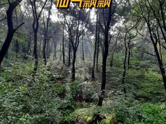 -棋盘山风景区